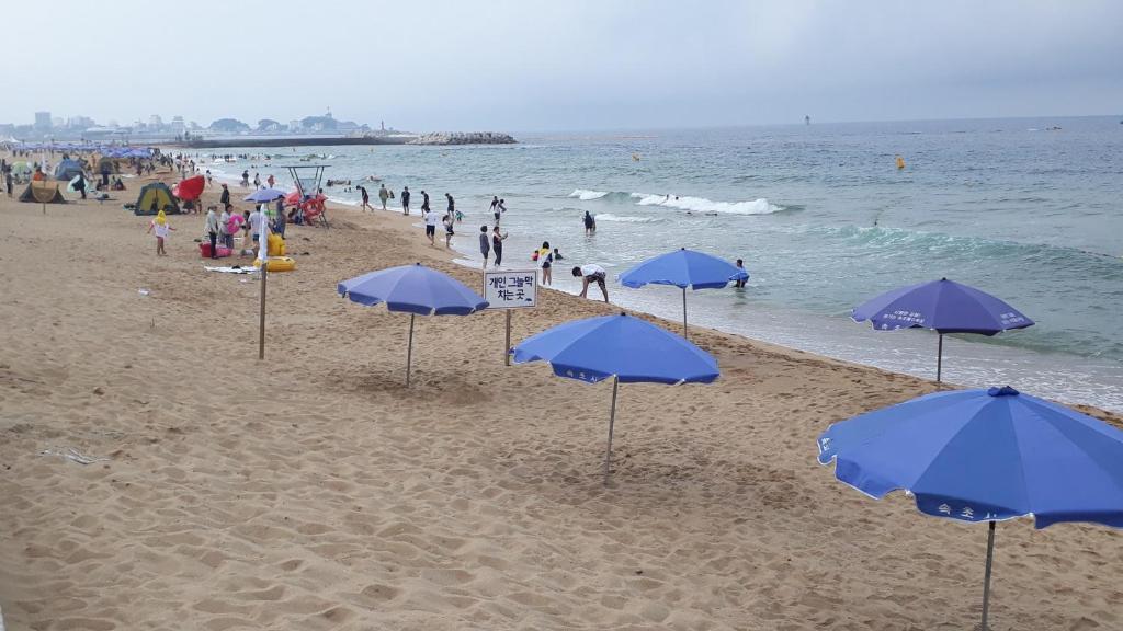 Sunrise Hotel Junior Suite Room11F Sea- View Sokcho Esterno foto